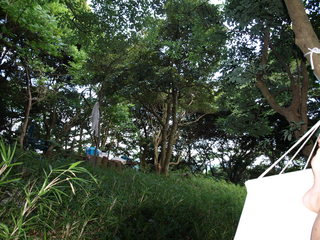 P7024830.JPG