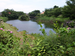P7024994.JPG