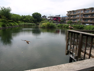 P7025002.JPG