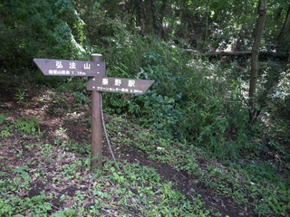 P7025051.JPG