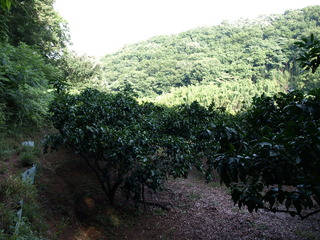 P7025085.JPG