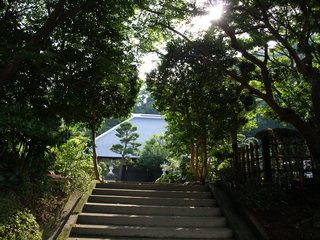 P7025096.JPG