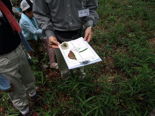 P7043111.JPG