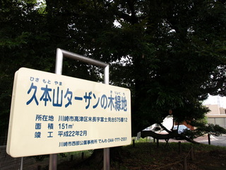 P7077533.JPG