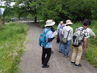 P7080075.JPG