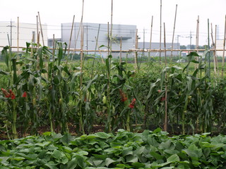 P7081393.JPG