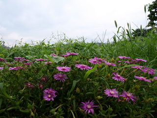 P7081478.JPG