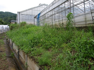 P7081486.JPG