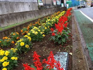 P7081499.JPG