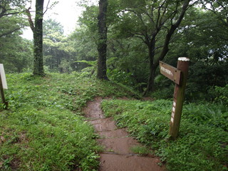 P7081524.JPG