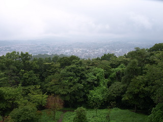 P7081544.JPG