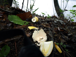 P7081553.JPG