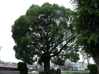 P7081572.JPG