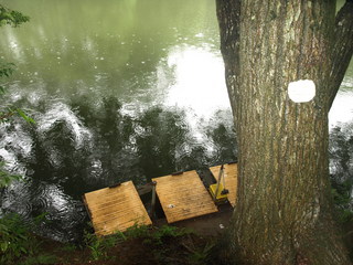 P7081653.JPG