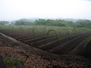 P7081670.JPG