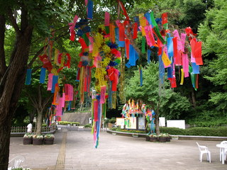 P7087597.JPG