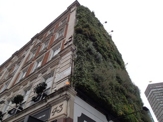 P7140003.JPG