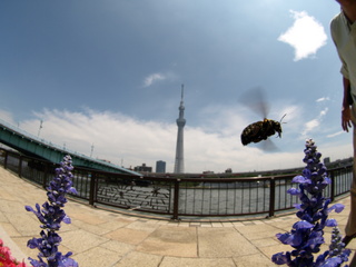P7147728.JPG