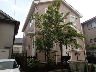 P7150002.JPG
