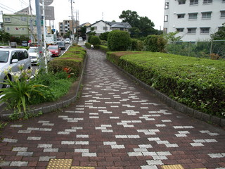 P7181742.JPG