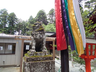 P7210205.JPG