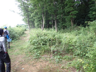 P7230025.JPG