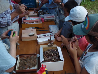 P7250032.JPG