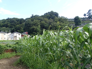 P7280077.JPG
