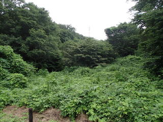 P8020025.JPG