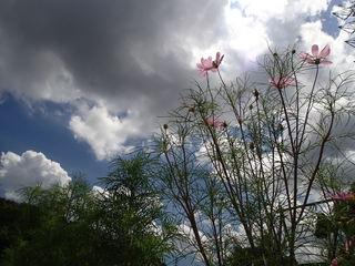 P8050017.JPG