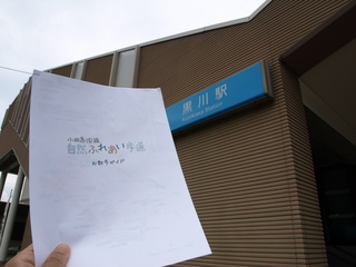 P8068748.JPG
