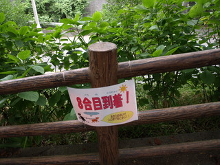 P8068751.JPG