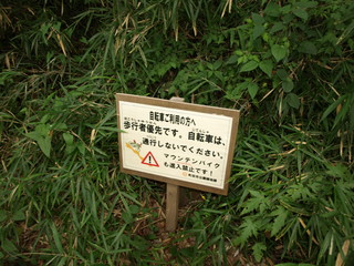 P8068765.JPG