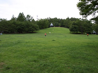 P8068774.JPG