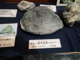 P8080025.JPG
