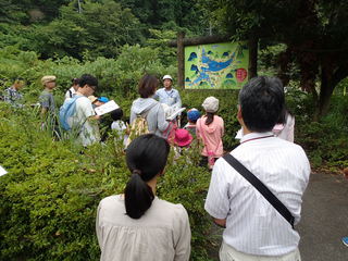 P8080056.JPG