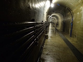 P8080091.JPG