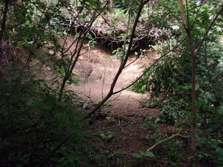 P8110066.JPG