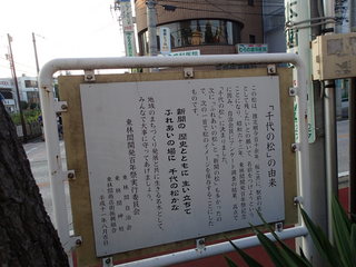 P8140027.JPG