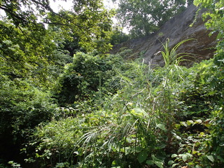 P8140043.JPG