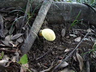 P8144980.JPG