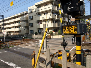 P8149112.JPG