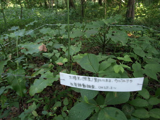 P8149134.JPG