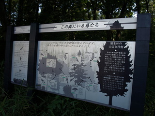P8149148.JPG
