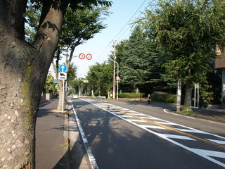 P8149167.JPG