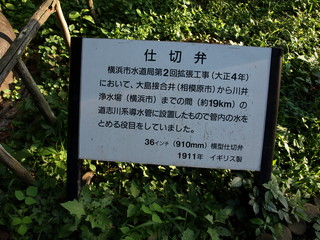 P8149213.JPG