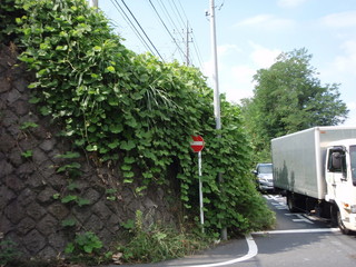 P8150003.JPG