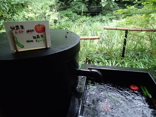P8160067.JPG