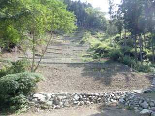 P8180044.JPG