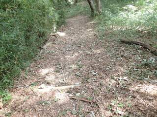 P8270016.JPG